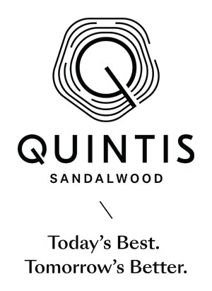New Quintis Logo