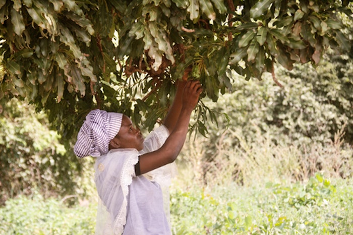 The Climate Fund for Nature, which is said to bring significant capital to nature protection and restoration, starting in Q1 2023.