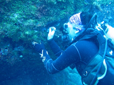 Apoena Biotech is using the collected samples to develop a marine bacteria bank.