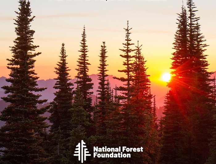 APC Packaging is working with the National Forest Foundation to ensure national forests in the United States stay healthy and vibrant for generations to come.