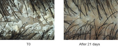 Sederma Gci2303 Image2