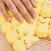 Learn how to create three French tip-inspired nail designs for the spring season from Bellacures.