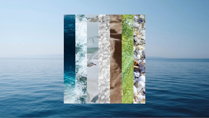 Firmenich master perfumer Nathalie Lorson stated, “Creating an olfactory identity for the national museum of the Navy means being able to express an atmosphere universal olfactory which is an ode to the strength of the ocean, to its immensity and to the invigorating energy of the water.'