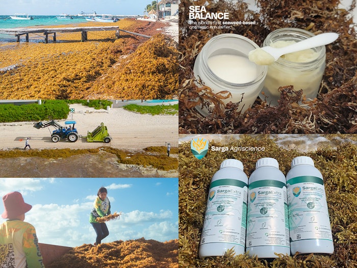Carbonwave is said to be the first company to chart a route to profitably process Sargassum and has developed a novel and proprietary method of extracting its unique biopolymers that are even more valuable than the simple compounds when extracted separately.