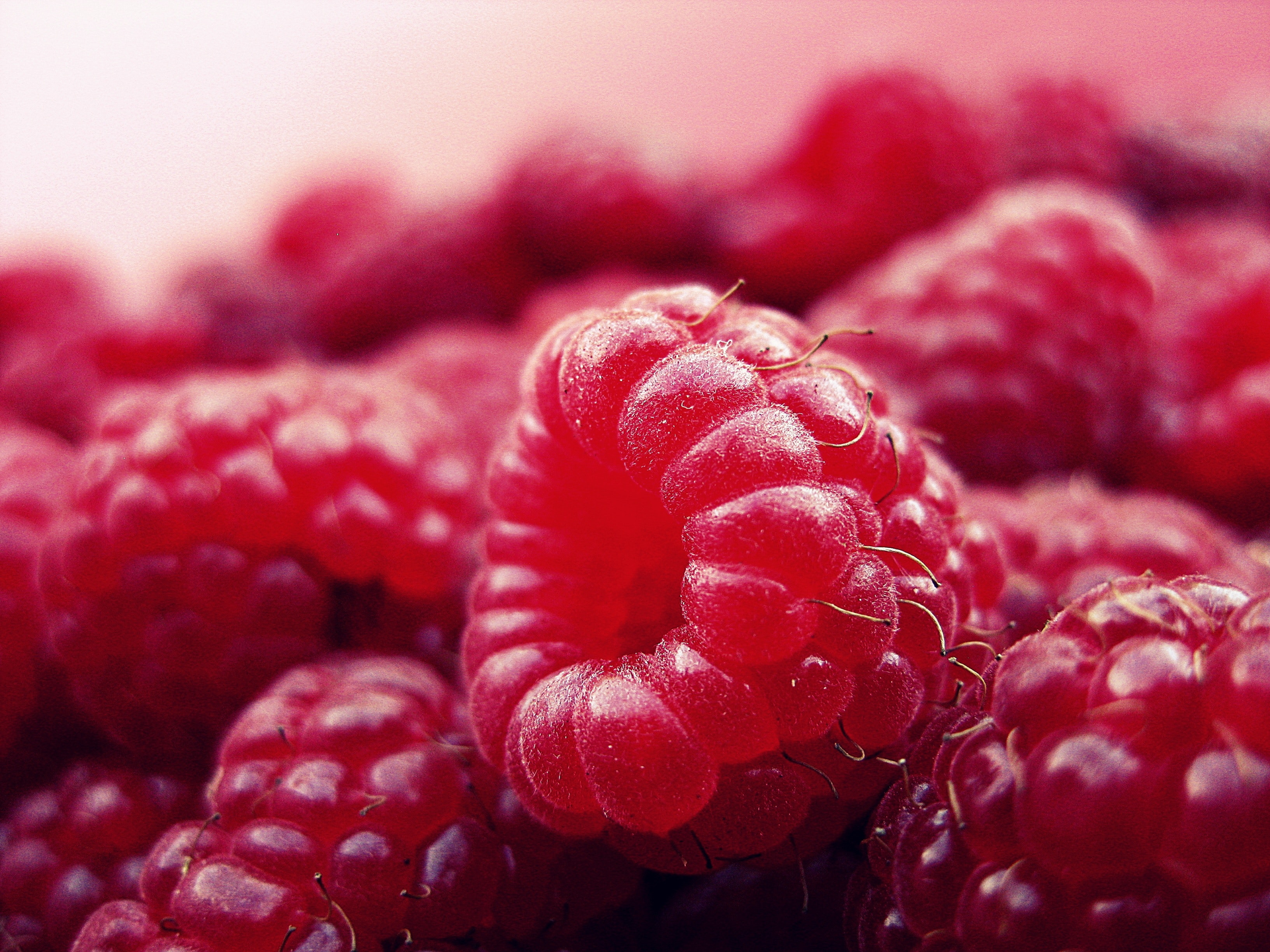 The α-ionone is Insempra's first functional ingredient that was biotechnologically produced, initially developed by Phytowelt Green Technologies.