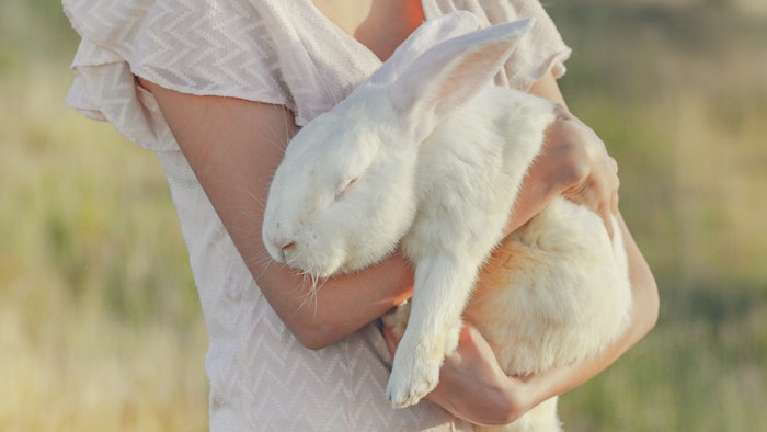 The announcement from the government is an important step towards the goal of ensuring that non-animal methods are accepted by the authorities to meet the requirements of other pieces of UK chemicals legislation, per the CTPA.