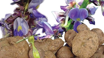 Bio Botanica