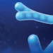 Biomenta Bf