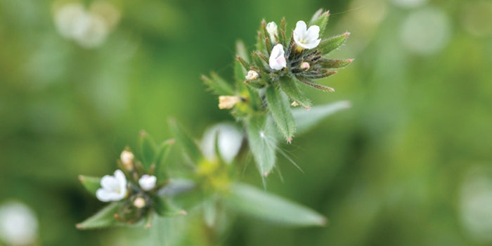 Natures International