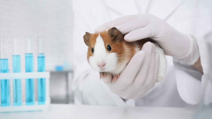 'Canada's legislation is expected to pass soon and, when it does, the United States will be the only country in North America without a national ban on animal testing for cosmetics.'