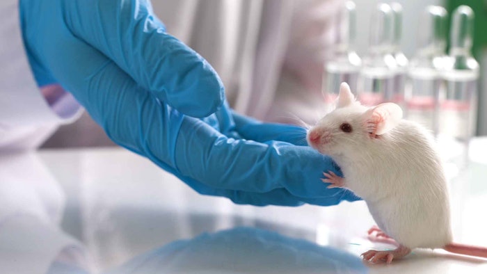 Canada will now join more than 40 jurisdictions and major markets that have already passed laws to end or limit cosmetics animal testing and/or sales.