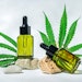 CBD hemp cosmetic oil and serum, spa treatment product