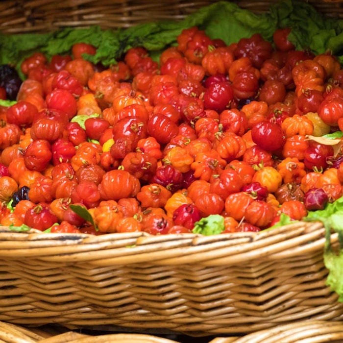 Tannin-rich nangapiri from the Argentine Misiones rainforest was used to create Novachem's natural sebum modulator.