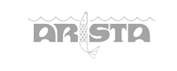 Logo Arista