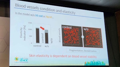 Holistic beauty: lymphatic and circulatory systems and their influence on epidermal stem cells