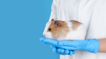 The ICCS is a global initiative focused on the adoption of animal-free assessments of cosmetics and its ingredients for human health and environmental safety.