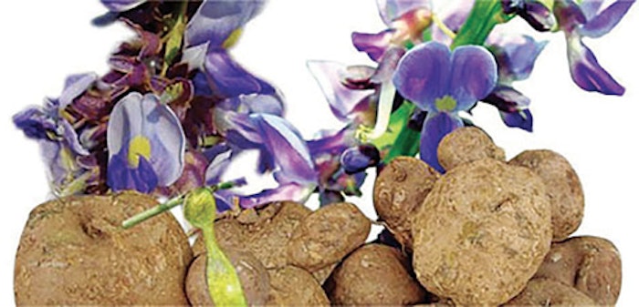 Bio Botanica