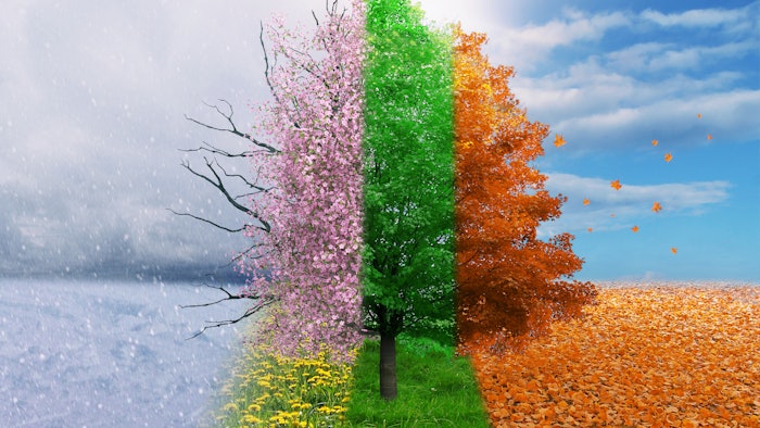 tree with all four seasons
