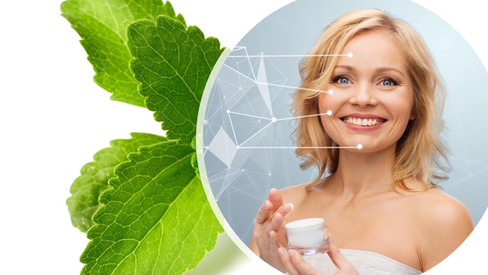 Antioxidant activity of mint extracts determined through the