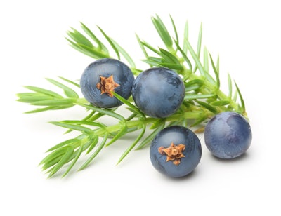 Ichimaru Pharcos is launching JuniperBright at in-cosmetics Global.