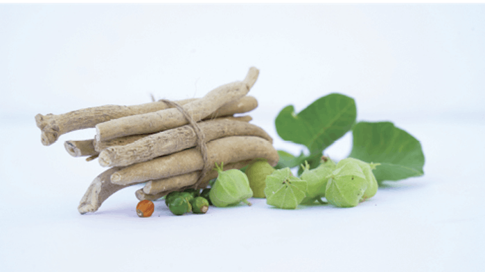 Gattefosse Adobe Stock 531387778