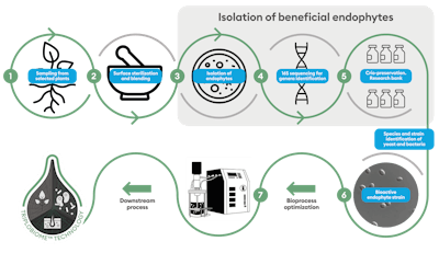 The company’s Triplobiome™ technology and proprietary production process isolates relevant endophytic strains from plants, including yeast and bacteria, and screens them for bioactive components. The best candidates are then selected for scaled-up production via cutting-edge biotechnology.