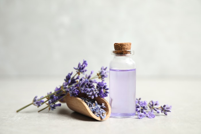 Bottle of essential oil and lavender flowers on light stone table