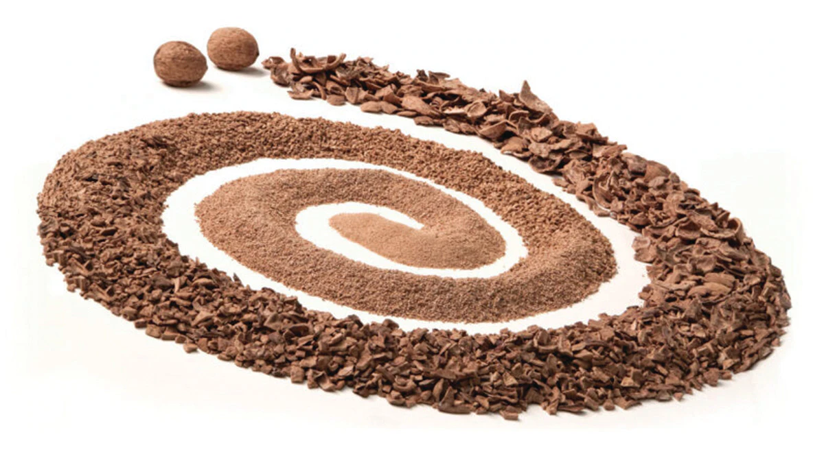 Eco-Shell's Walnut Shells | Global Cosmetic Industry