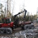 This article outlines some of the key actions and requirements of the EU Deforestation Regulation. Intentions from the UK related to forest risk commodities through Defra are discussed.