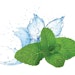 Bio Botanica
