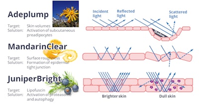 Recommended Combination