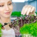 Indoor farming or controlled environment agriculture is one solution to fulfill the demand for sustainable ingredients.