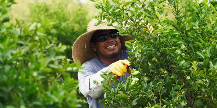 Latina Souls Wpc24 #1