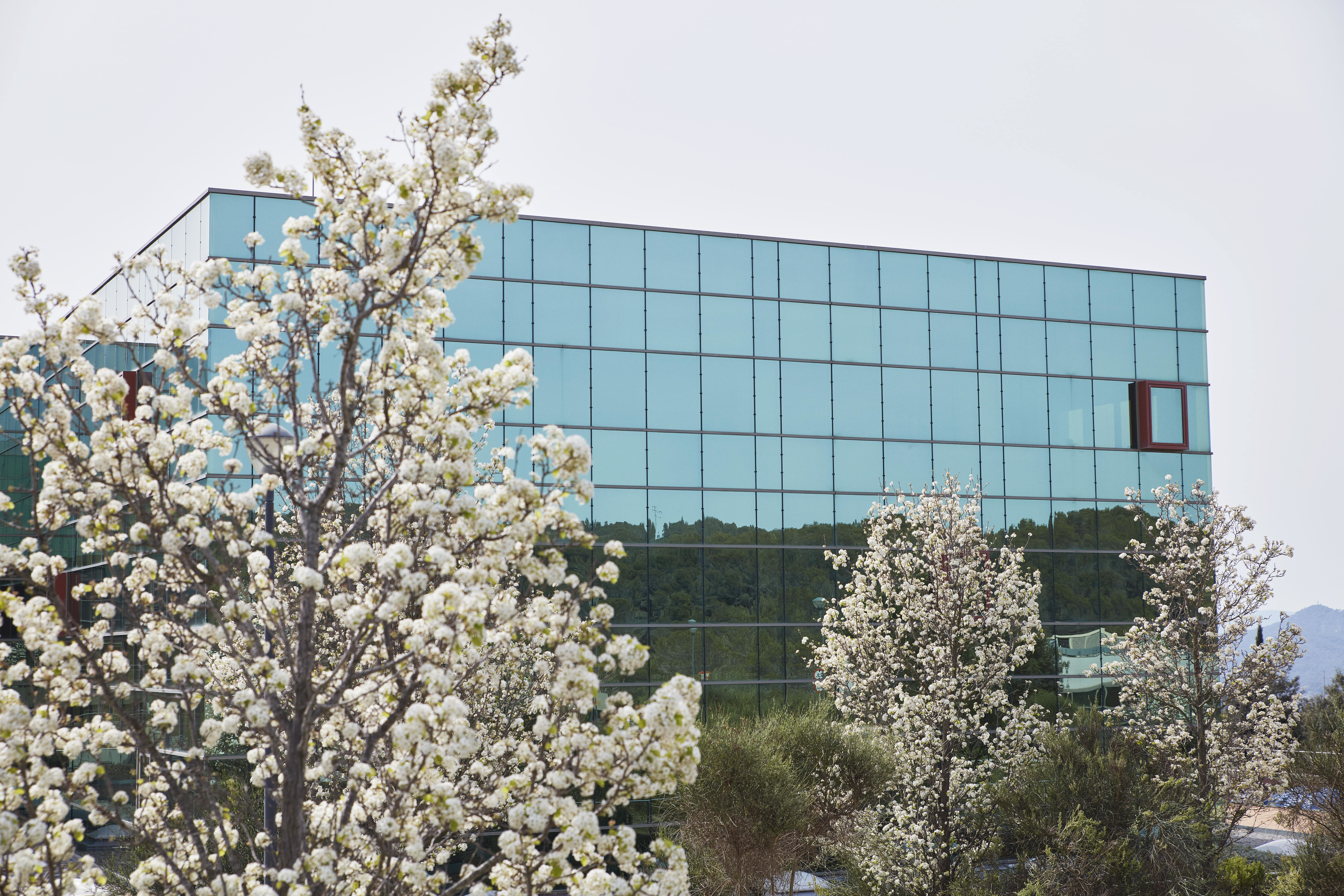 &ldquo;Since [adopting a matrix organization model in 2018], we have seen how effectively merging our regional and global approaches has allowed us to define and execute successful strategies,&rdquo; said CEO Laurent Mercier.