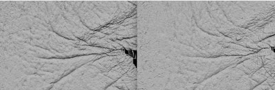 Representative before/after effects of PAPE ingredient at Day 0 (left) and Day 28 (right)