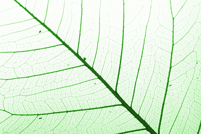 In nature, cellulose can be found in the cell walls of green plants, some algae and fungus-like oomycetes.