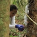 Earlier this year, Apoena Biotech held its second bioprospecting expedition for sustainable biological actives, this time in the Tapajós National Forest of Pará in Brazil's Amazon.