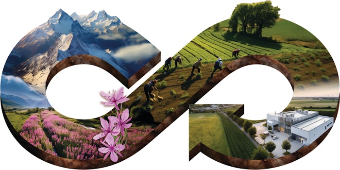 Dsm Firmenich July August