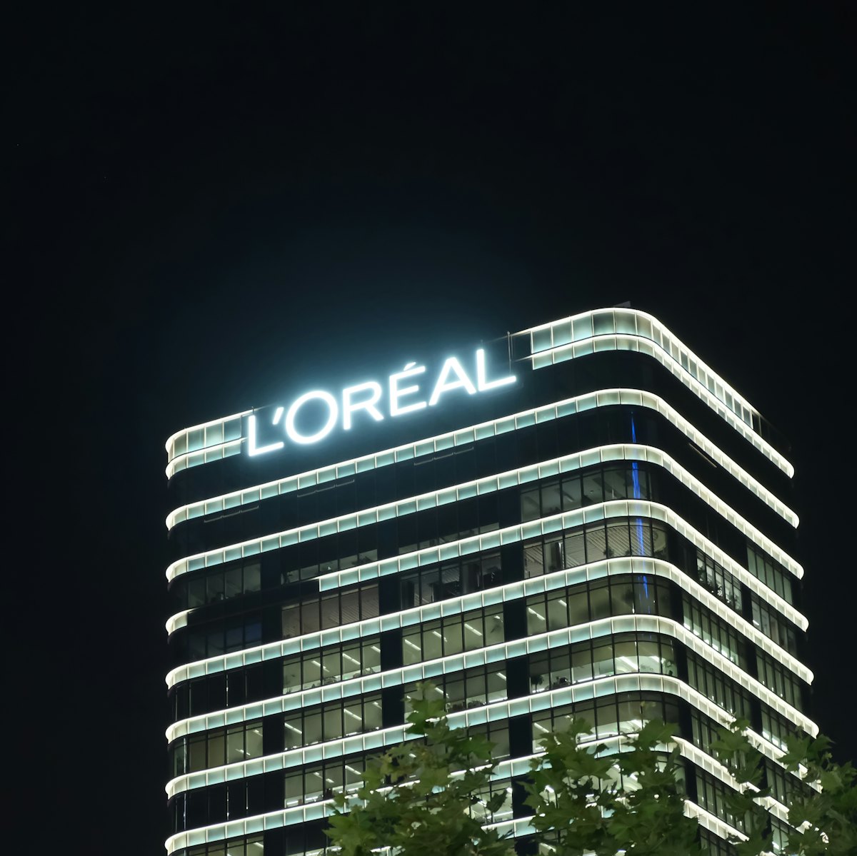 L'Oréal USA Appoints Dave Kersey SVP of Media to Support Digital ...