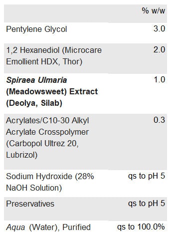 Ct2411 12 Verzeaux Formula 1