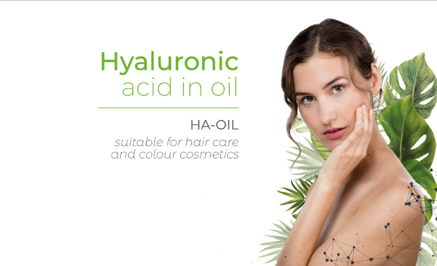 Ha Oil Sd