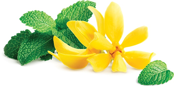 Natural Germacrene D 85