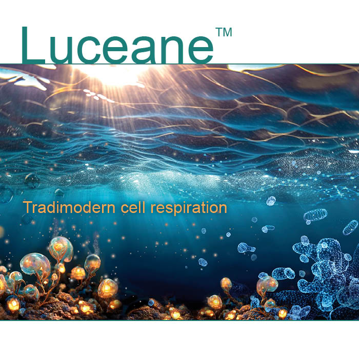 Qr Sample Form Luceane2028129