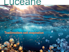 Qr Sample Form Luceane2028129