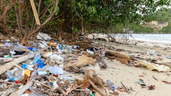 In 2025, eco-friendly packaging isn’t just a nice-to-have; it’s an essential component of success for beauty brands.