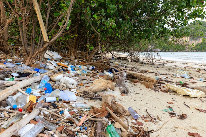 In 2025, eco-friendly packaging isn’t just a nice-to-have; it’s an essential component of success for beauty brands.