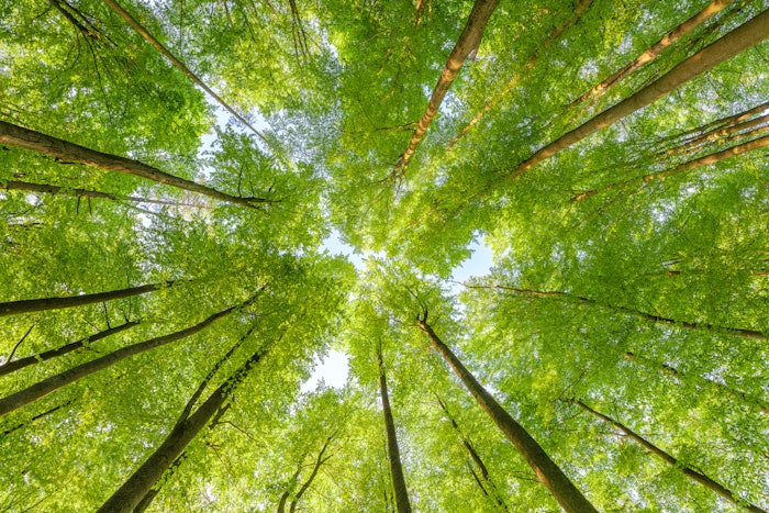 The Journal of Cosmetic Science celebrates 75 years by spotlighting sustainability in the cosmetics industry, from ethical sourcing to reducing emissions.