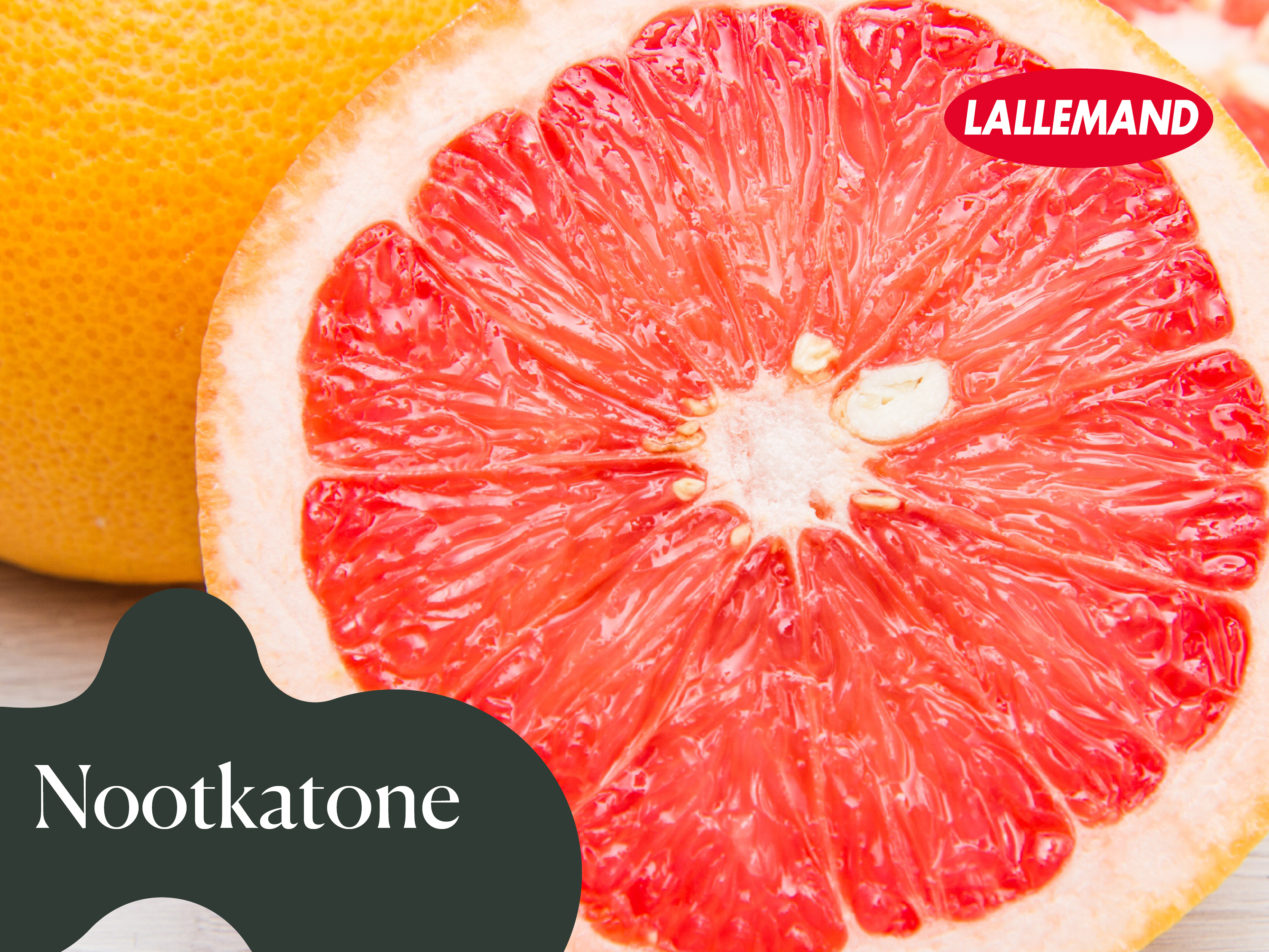 Leaders800x6002 6407d45f015a04