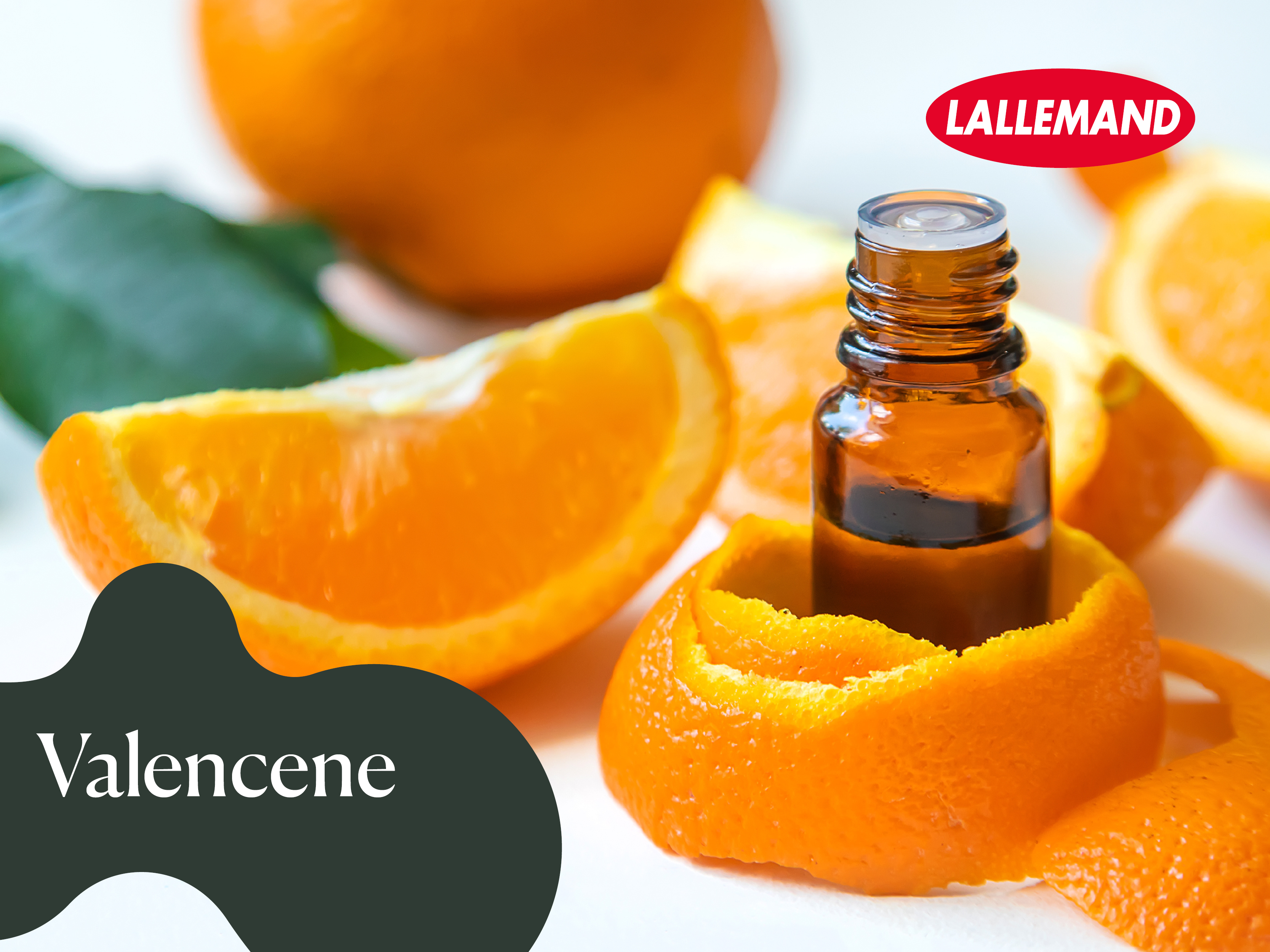 Leaders800x6003 6407d45ef1d064