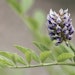 Adobe Stock 214844032